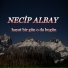 Necip Albay