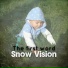 Snow Vision