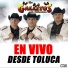 Los Gallitos de Chihuahua