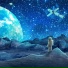 秦海清