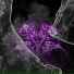 DeadBat
