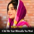 Singer Adil