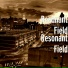 Resonant Field