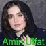 Amin Ulfat