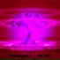 FrisX2Hell