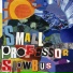 Small Professor