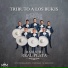 Mariachi Real Plata