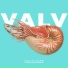 Valv