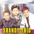 Shandy Trio