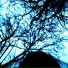 PSYCHOGOTH
