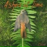 Ashes Of Time