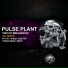Pulse Plant