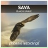 Sava