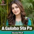 Sherdad Khail