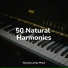 Massage Music, Classical Study Music, Piano Relax