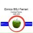 Enrico BSJ Ferrari