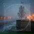 Savely Grachev