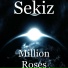 Sekiz