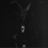 Project hex music