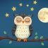 Magic Owl