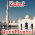 Qari Mashal