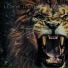 Lions in the Street