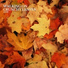 Autumn Sounds