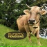 guramy