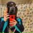 Black Panther Hotline feat. Enoch