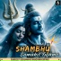 Sundeep Gosswami, Kanchhan Srivas