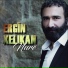 Ergin Xelikan, Ergin Xelîkan