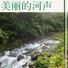 平静音乐