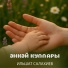 Ильшат Салахиев