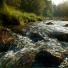 ONCE, Природа
