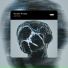 Azotonic