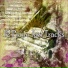 Bossa Nova Lounge Orchestra (Sweet Nights Jazz)