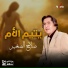 Salah El Soghayar