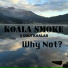 Koala Smoke, Ugly Koalas