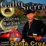 El Gallo De Sierra
