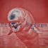 2M, Daniel Mathieu, SYME, Francis Cagney, Beluga