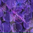 17 flowers