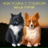 Илья Гуров