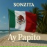 SONZITA
