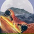 Loafee