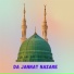 Pir Abbass Khaki