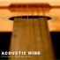 Acoustic Guitar Hits
