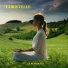 J A BENEDETTI