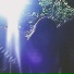almogfx, Re V