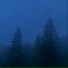 mynotes, nleave