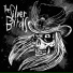 The Silver Birds